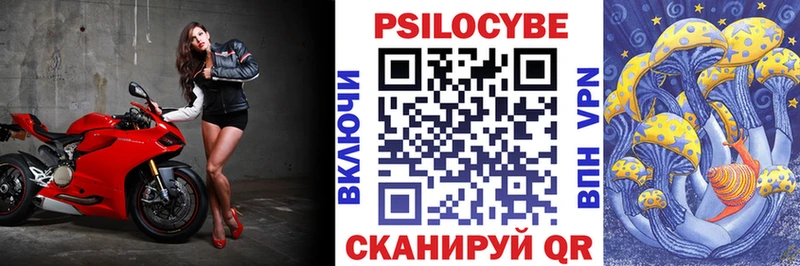 Купить где  Таруса  Псилоцибиновые грибы Cubensis 